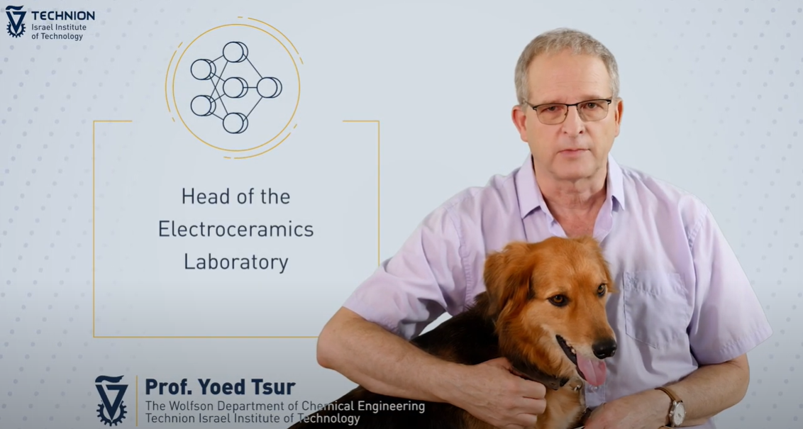 Yoed Tsur, Technion Department of Chemical Engineering